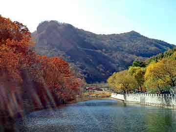 正版澳门天天开彩大全，异能神偷